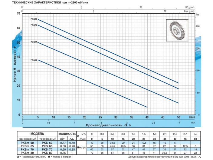 Поверхневий насос Pedrollo PKSm 60 купити в інтернет-магазині «НасосВДом» Київ Україна
