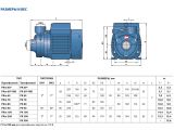 Поверхностный насос Pedrollo PKm 60 купить в интернет-магазине «НасосВДом» Киев Украина