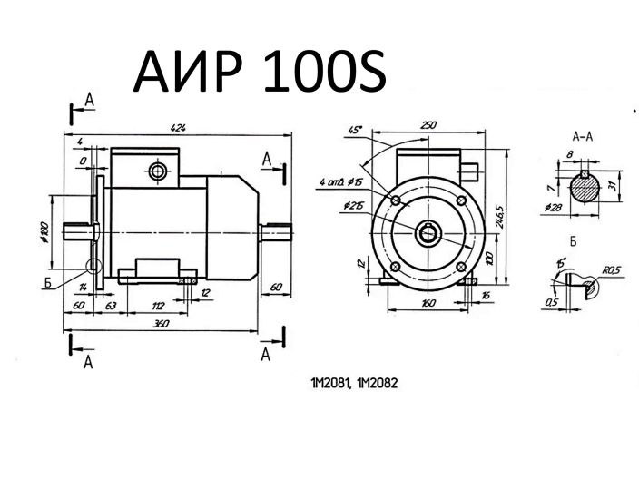 Електродвигун Промелектро АІР 100 S2 У2 (Л/Ф) 400 В купити в інтернет-магазині «НасосВДом» Київ Україна
