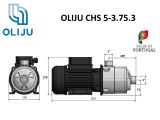 Многоступенчатый центробежный насос OLIJU CHS 5-3.75.3 купить в интернет-магазине «НасосВДом» Киев Украина
