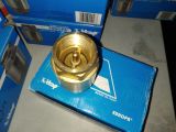 100 EUROPA DN 3/4 обратный клапан латунный шток купить в интернет-магазине «НасосВДом» Киев Украина