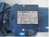 Насосная станция Pedrollo JSWm 2CX/24 купить в интернет-магазине «НасосВДом» Киев Украина