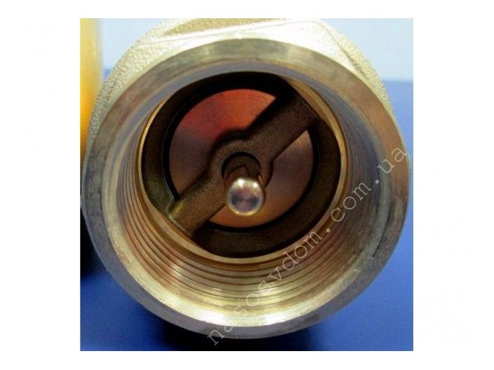 100 EUROPA DN 1 зворотний клапан латунний шток купити в інтернет-магазині «НасосВДом» Київ Україна