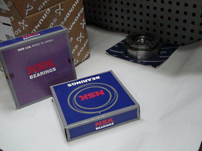 Підшипники FR 62, комплект Grundfos арт. 96294830 купити в інтернет-магазині «НасосВДом» Київ Україна