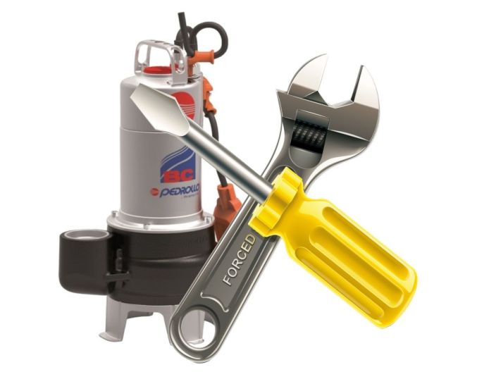 Чистка насоса Pedrollo BC купить в интернет-магазине «НасосВДом» Киев Украина