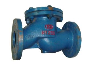 Клапан зворотний фланцевий DN 80 купити в інтернет-магазині «НасосВДом» Київ Україна