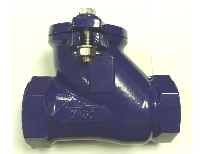 Клапан обратный резьбовой Brandoni DN50 T7.100050FFB купить в интернет-магазине «НасосВДом» Киев Украина